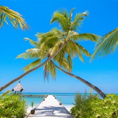 半岛.体育BANDAO SPORTS