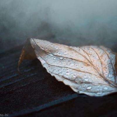 半岛.体育BANDAO SPORTS截图