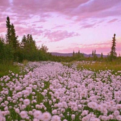 宝威体育官网app下载