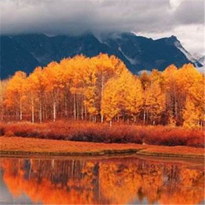 Kaiyun·体育(全站)登陆入口官方网站登录入口