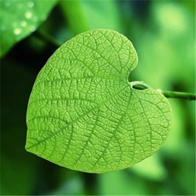 万博max体育注册